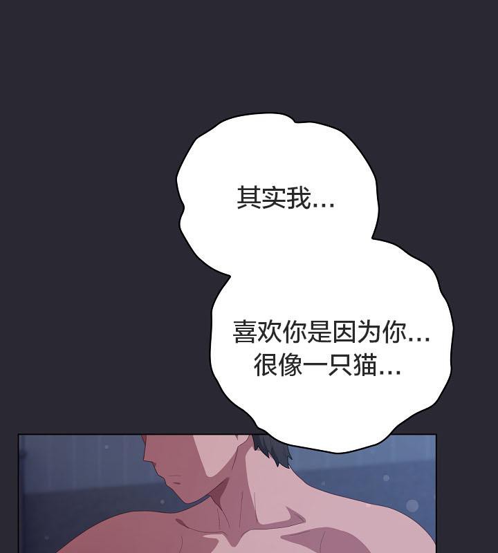 《貓貓牽紅線》漫画 第17話