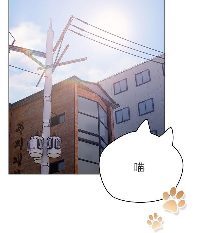 《貓貓牽紅線》漫画 第18話