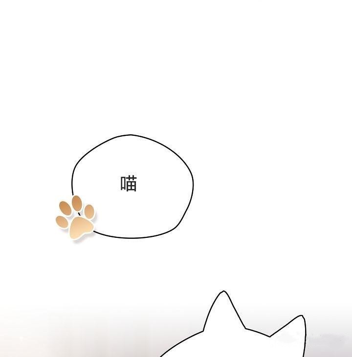《貓貓牽紅線》漫画 第18話