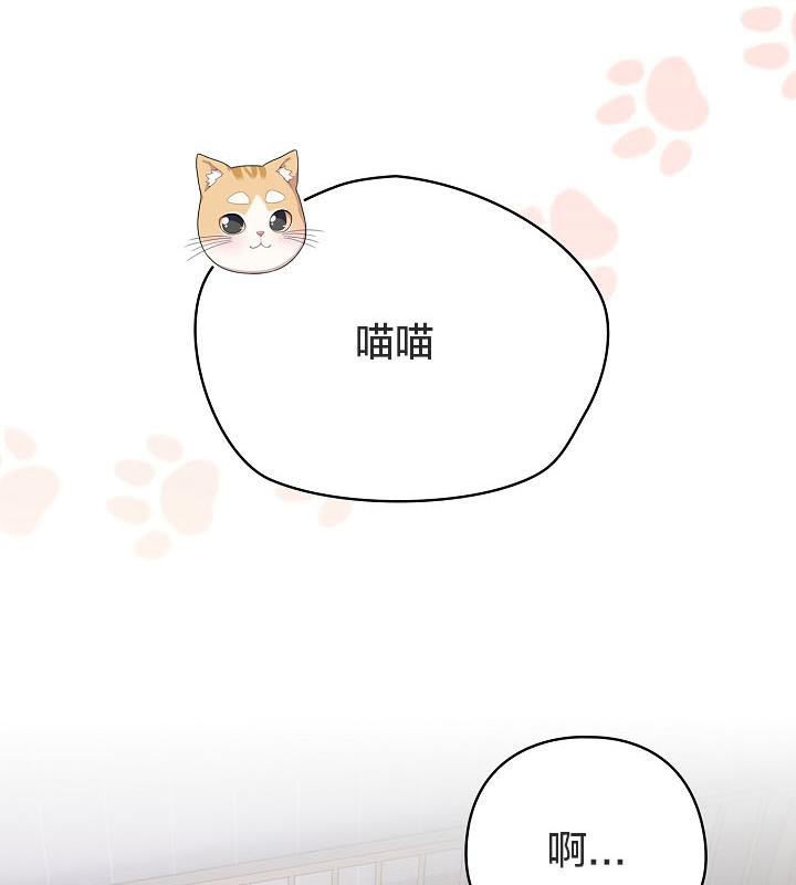 《貓貓牽紅線》漫画 第18話