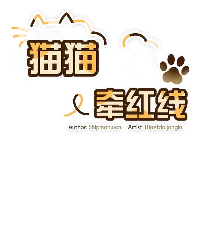 《貓貓牽紅線》漫画 第19話