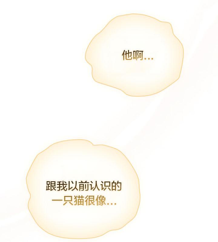 《貓貓牽紅線》漫画 第19話