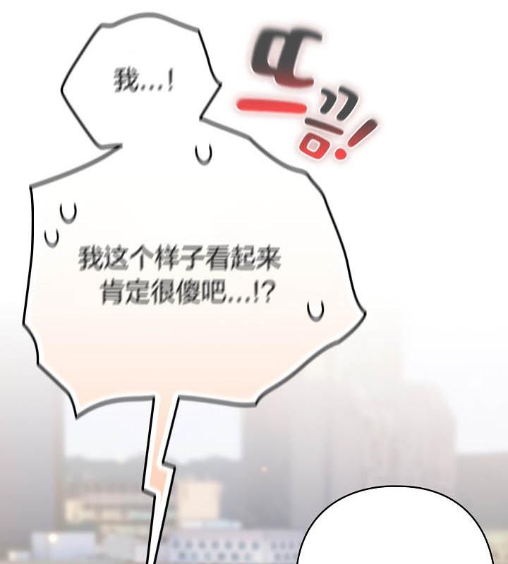 《貓貓牽紅線》漫画 第19話