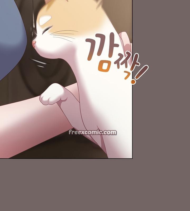 《貓貓牽紅線》漫画 第20話