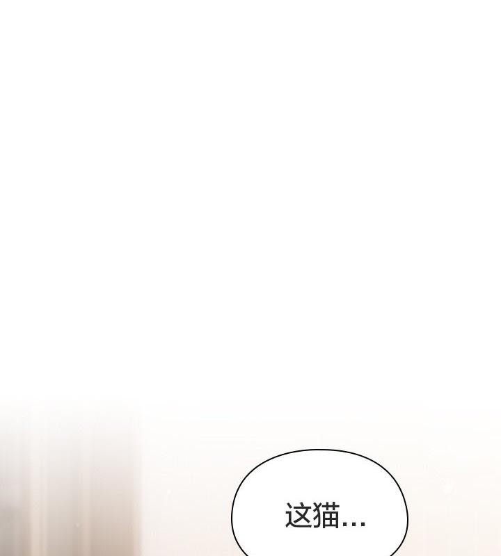 《貓貓牽紅線》漫画 第24話