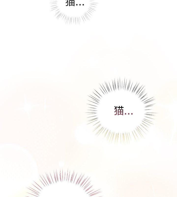《貓貓牽紅線》漫画 第24話