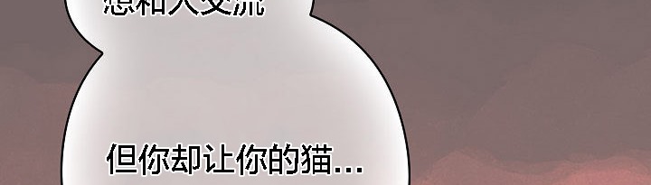 《貓貓牽紅線》漫画 第3話