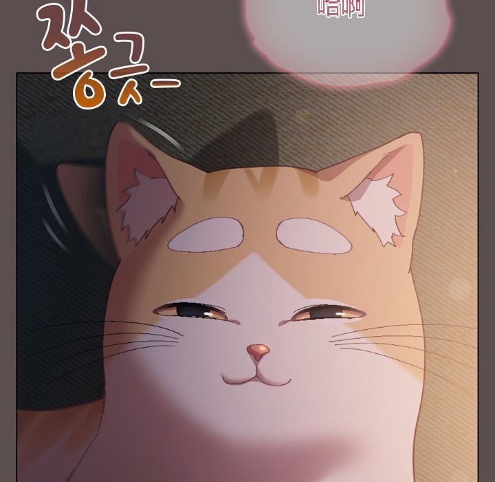 《貓貓牽紅線》漫画 第7話