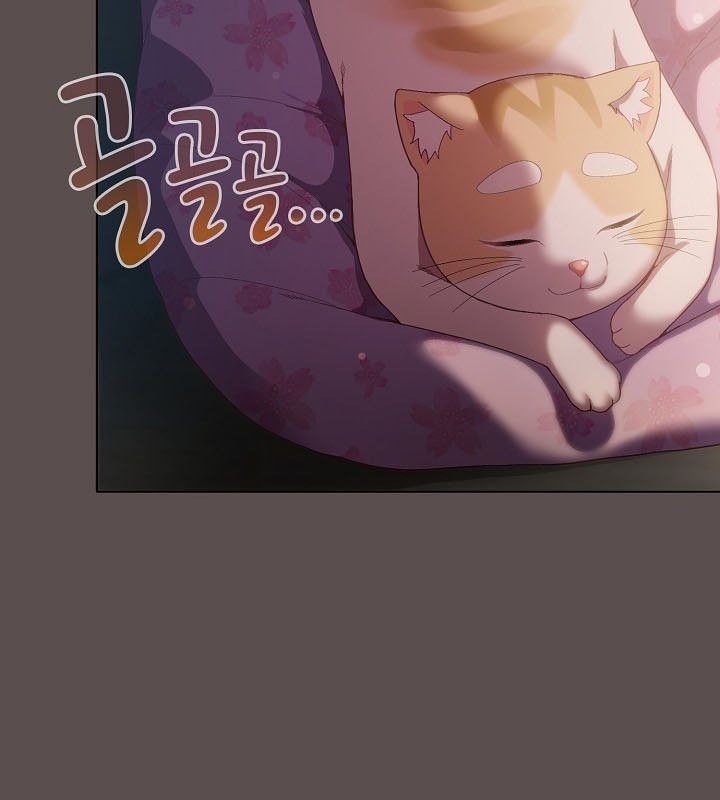 《貓貓牽紅線》漫画 第9話