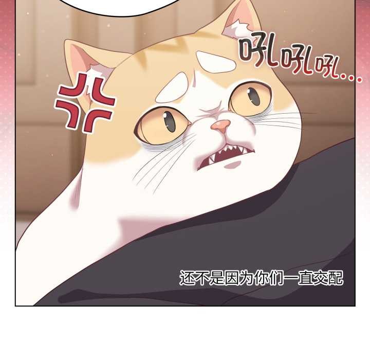 《喵來的戀愛》漫画 第38話