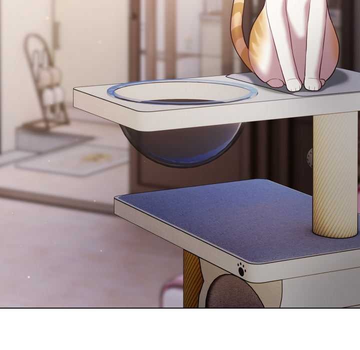 《喵來的戀愛》漫画 第49話