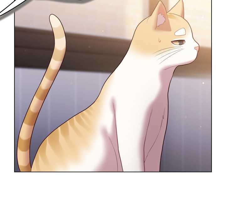 《喵來的戀愛》漫画 第49話