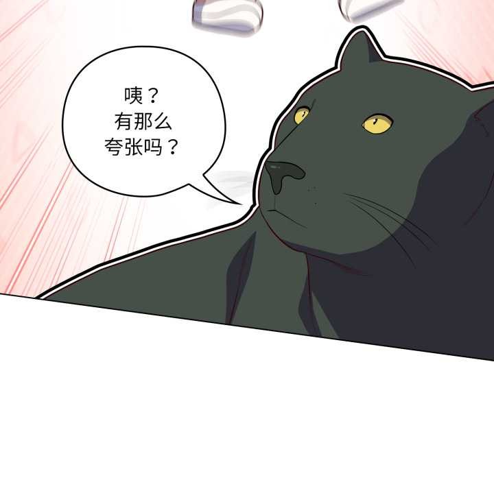 《喵來的戀愛》漫画 第50話