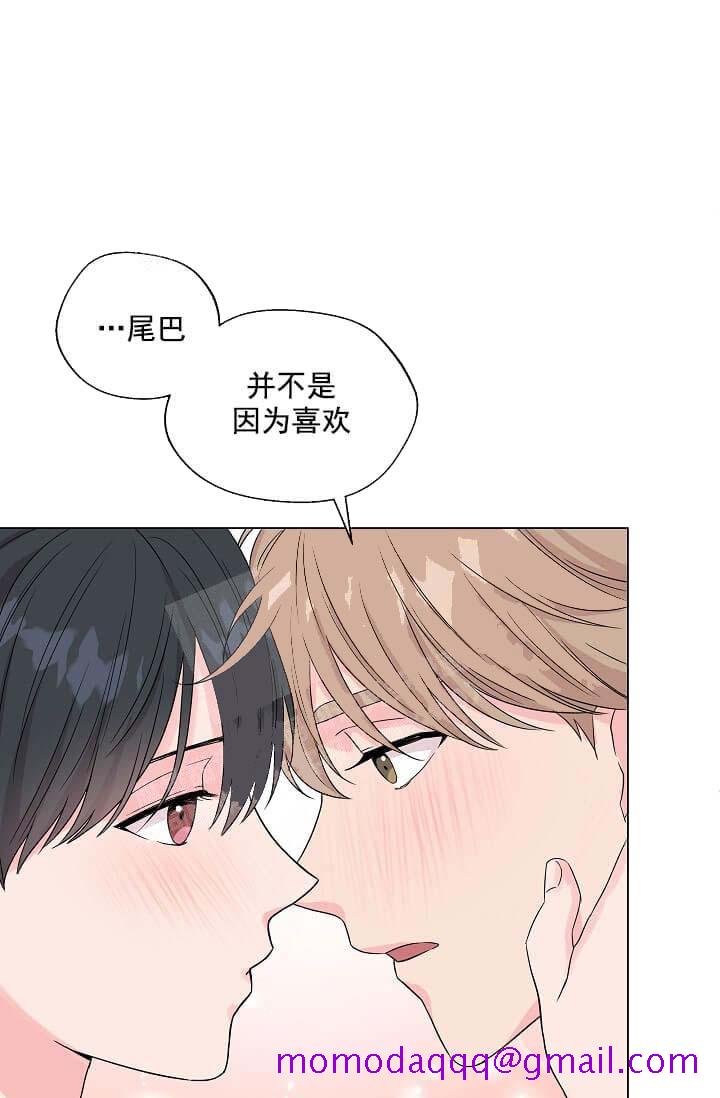 《奇妙玩具来袭完结》漫画 13话