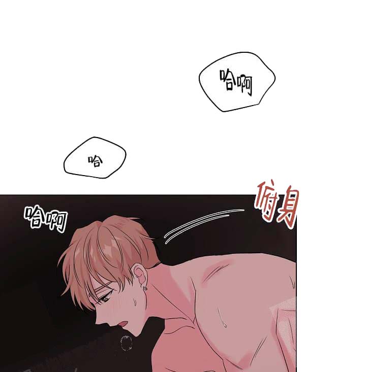 《奇妙玩具来袭完结》漫画 14话