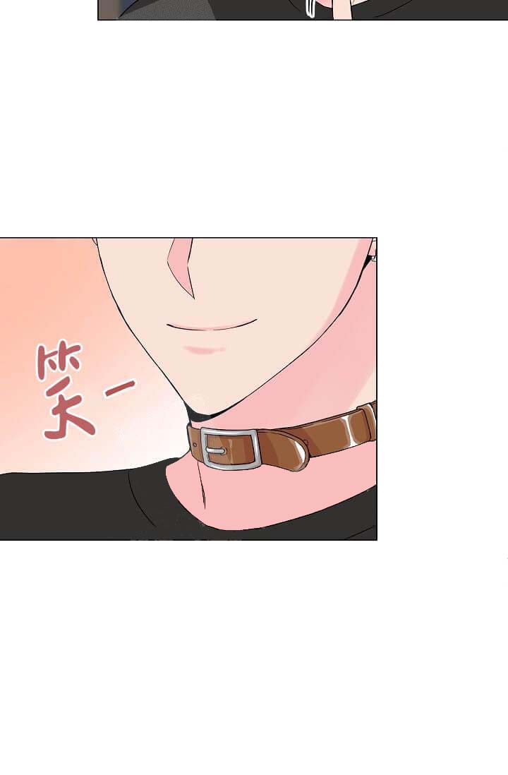 《奇妙玩具来袭完结》漫画 14话