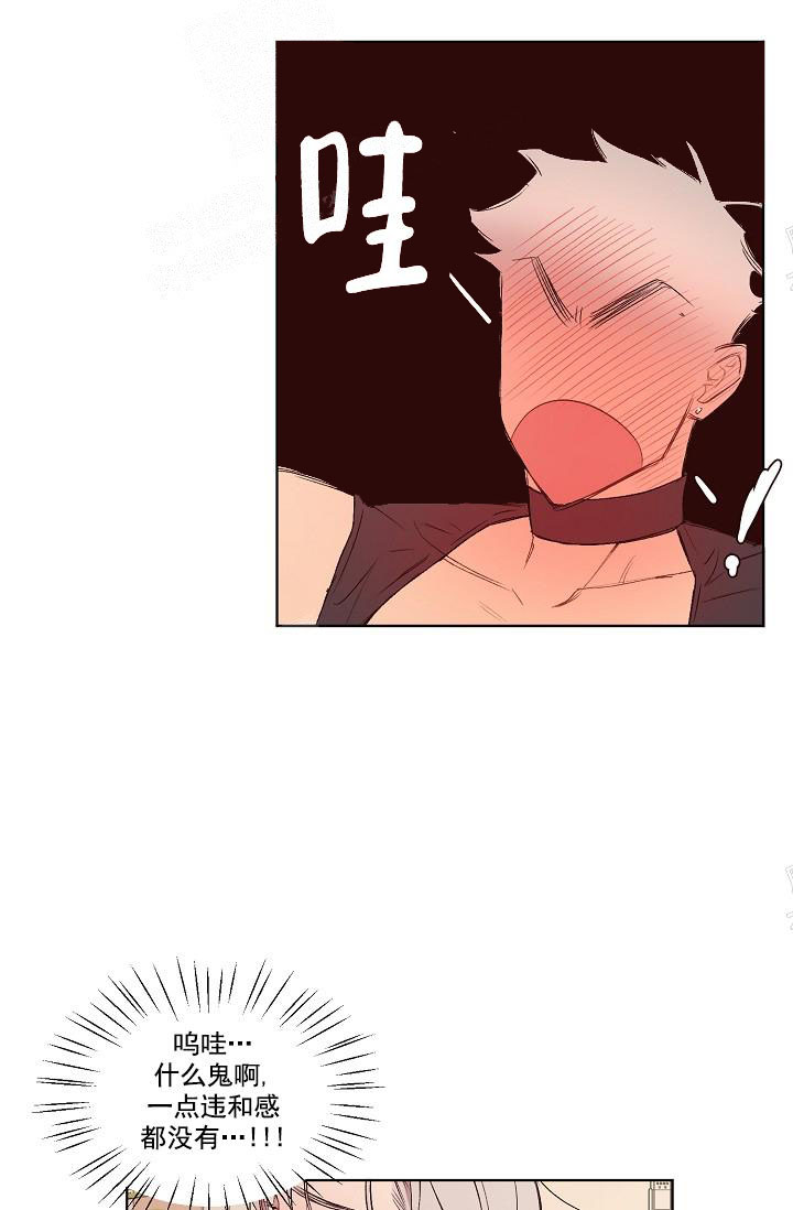 《奇妙玩具来袭完结》漫画 17话