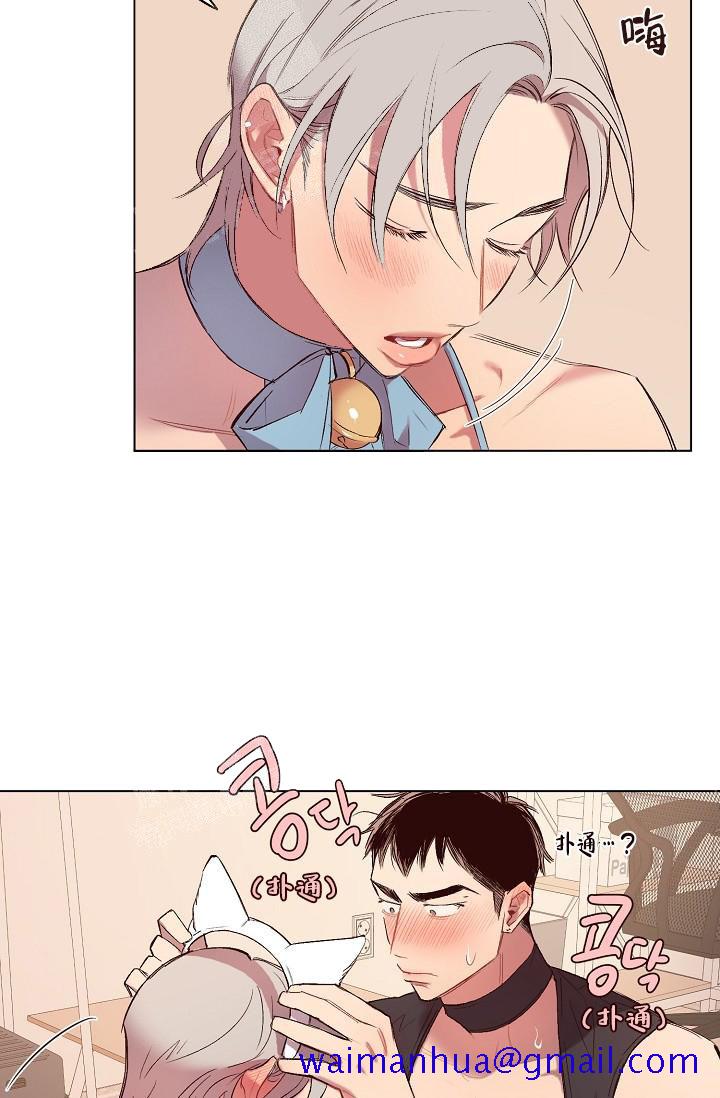 《奇妙玩具来袭完结》漫画 17话