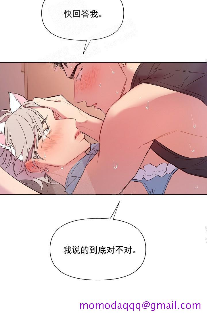 《奇妙玩具来袭完结》漫画 18话