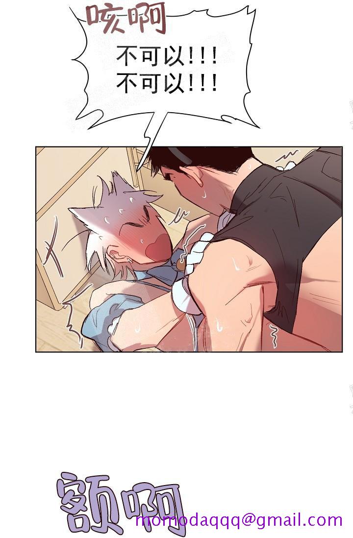《奇妙玩具来袭完结》漫画 19话