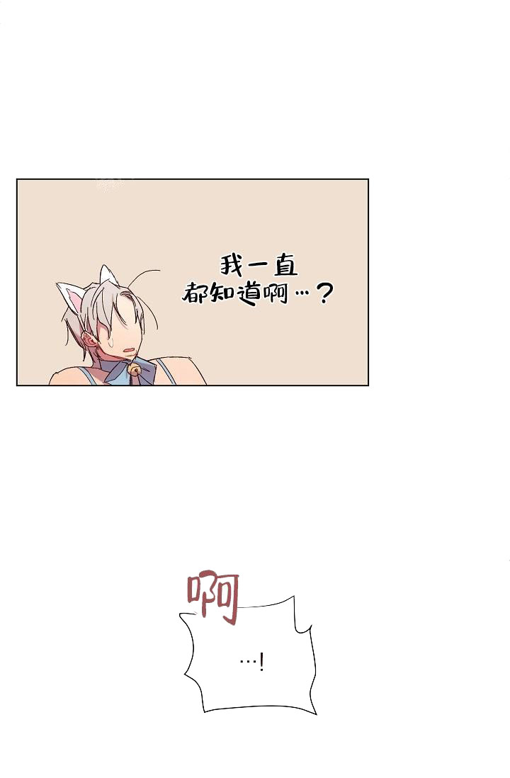 《奇妙玩具来袭完结》漫画 20话