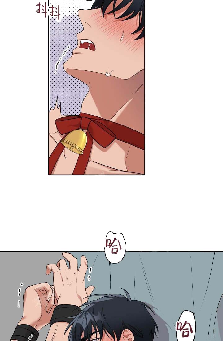 《奇妙玩具来袭完结》漫画 5话