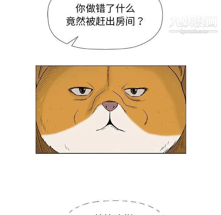 《奇趣新人》漫画 第19話