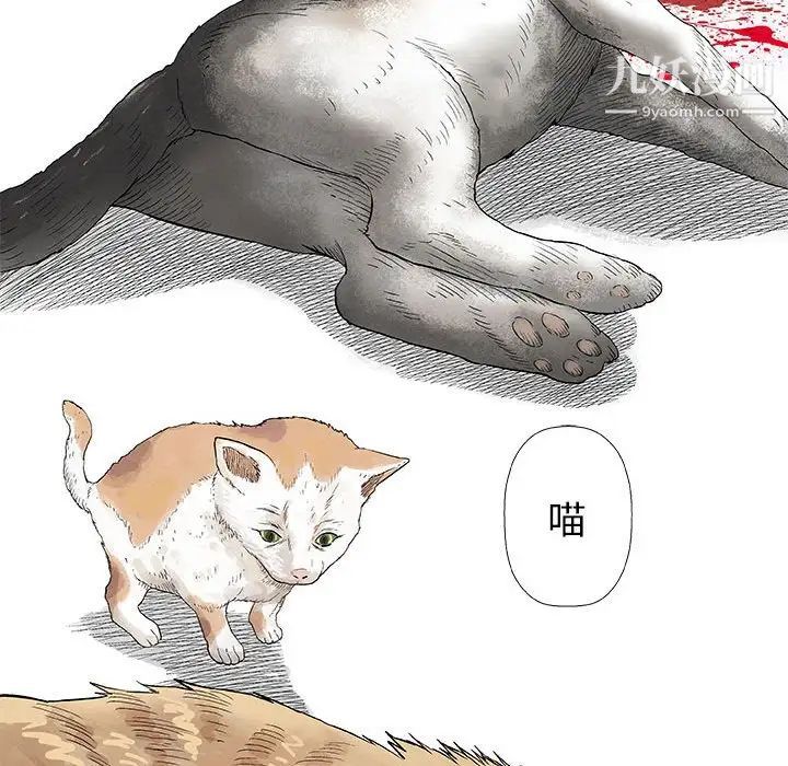 《奇趣新人》漫画 第28話