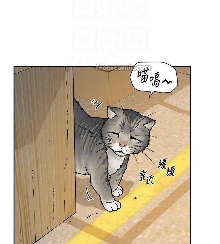 《深層潔淨達人》漫画 第48話-兩人的溫馨約會?!