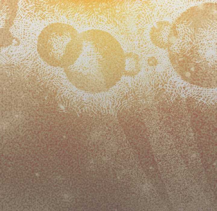 《神聖陷阱》漫画 第22話