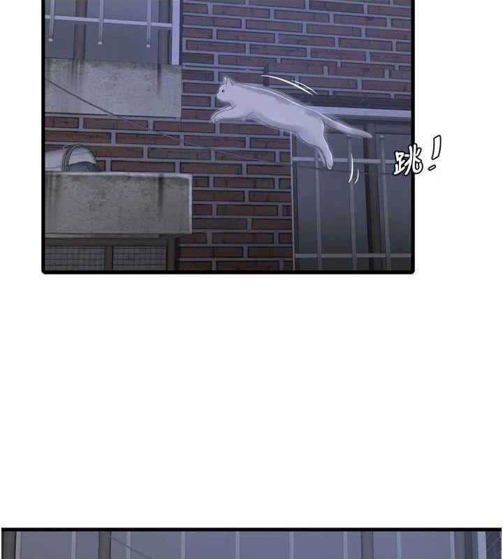 《水電工日誌》漫画 第78話-在沙發上演謎片劇情