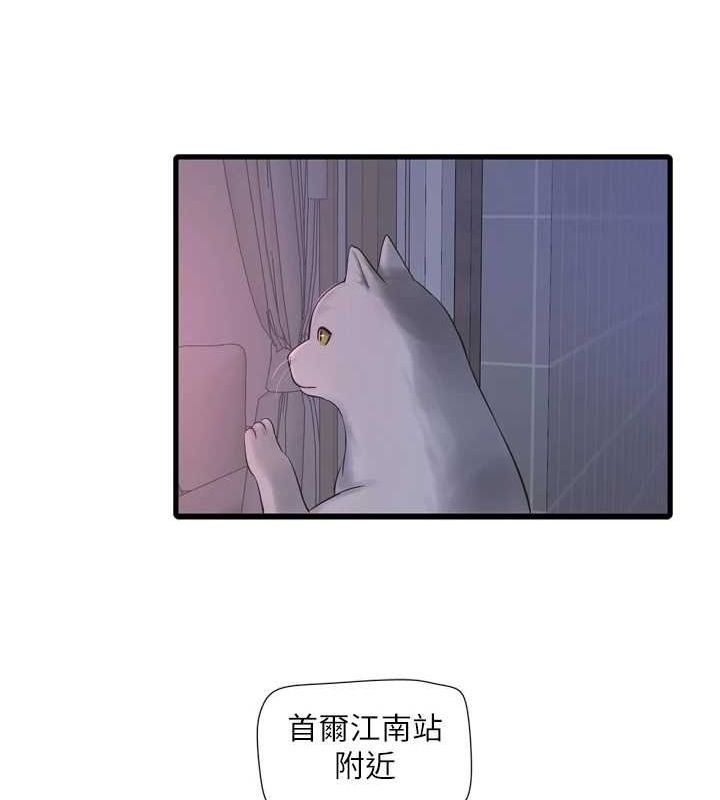 《水電工日誌》漫画 第78話-在沙發上演謎片劇情