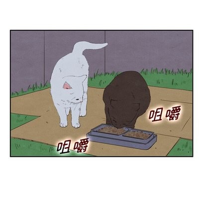 《泰珠小姐的完美婚姻生活》漫画 第43話