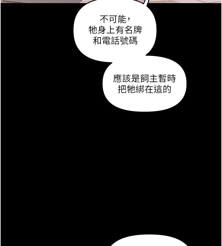 《玩轉學姊》漫画 第72話-天降的黃色邀請函