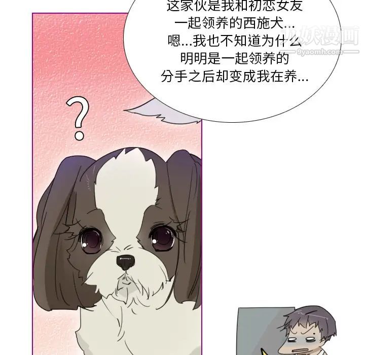 《我的猫狗女友》漫画 第1话