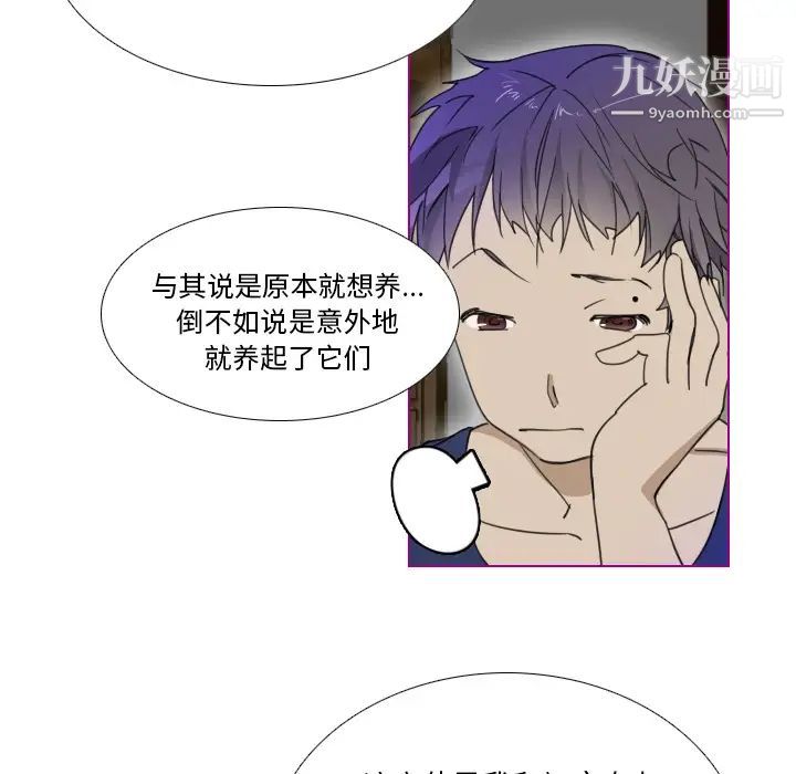 《我的猫狗女友》漫画 第1话