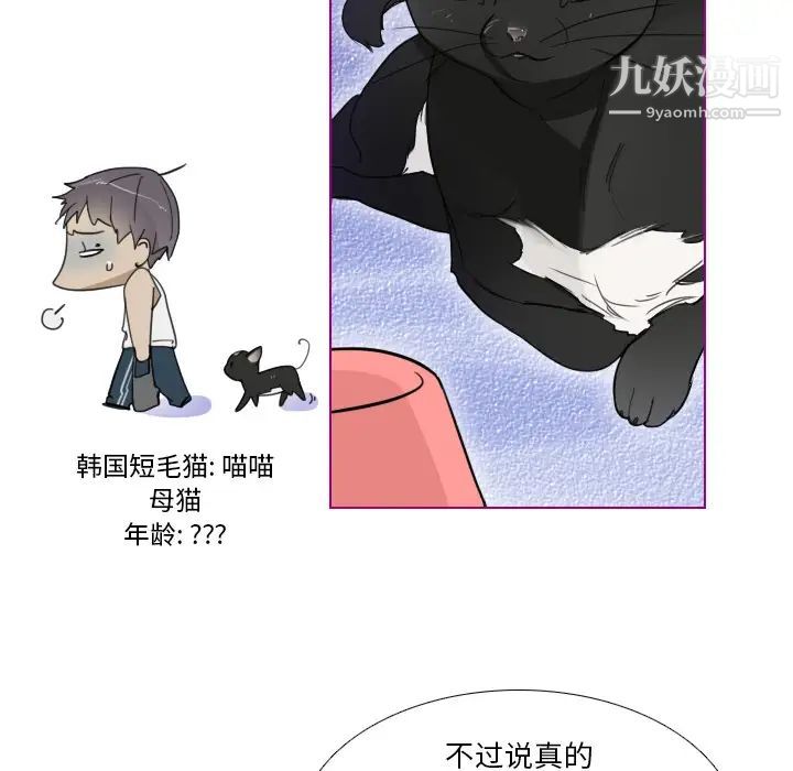 《我的猫狗女友》漫画 第1话