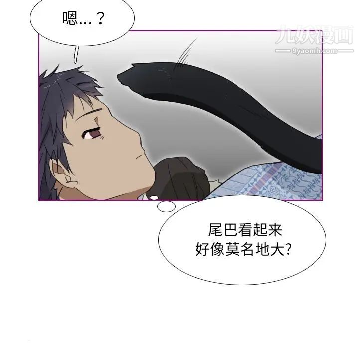 《我的猫狗女友》漫画 第1话