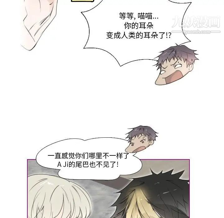 《我的猫狗女友》漫画 第10话