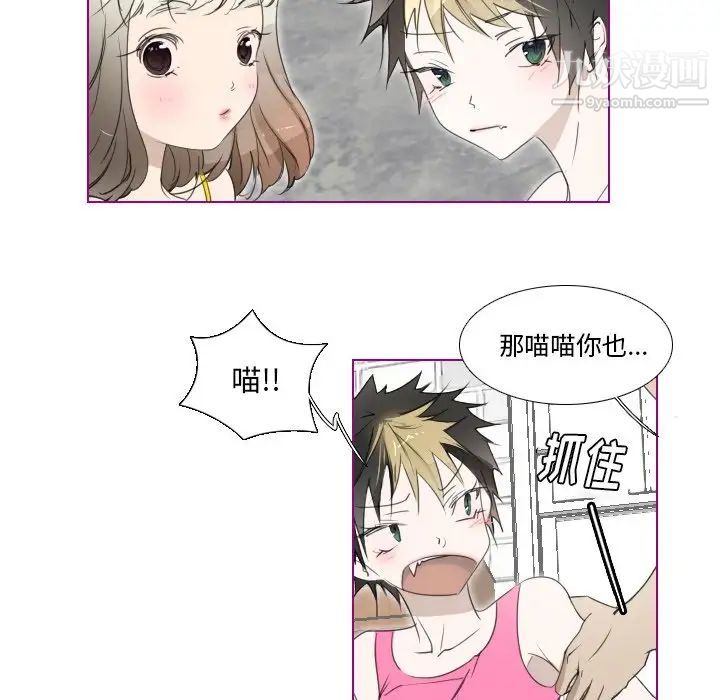 《我的猫狗女友》漫画 第10话