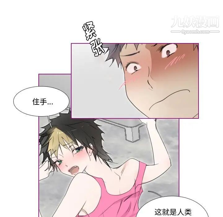 《我的猫狗女友》漫画 第10话