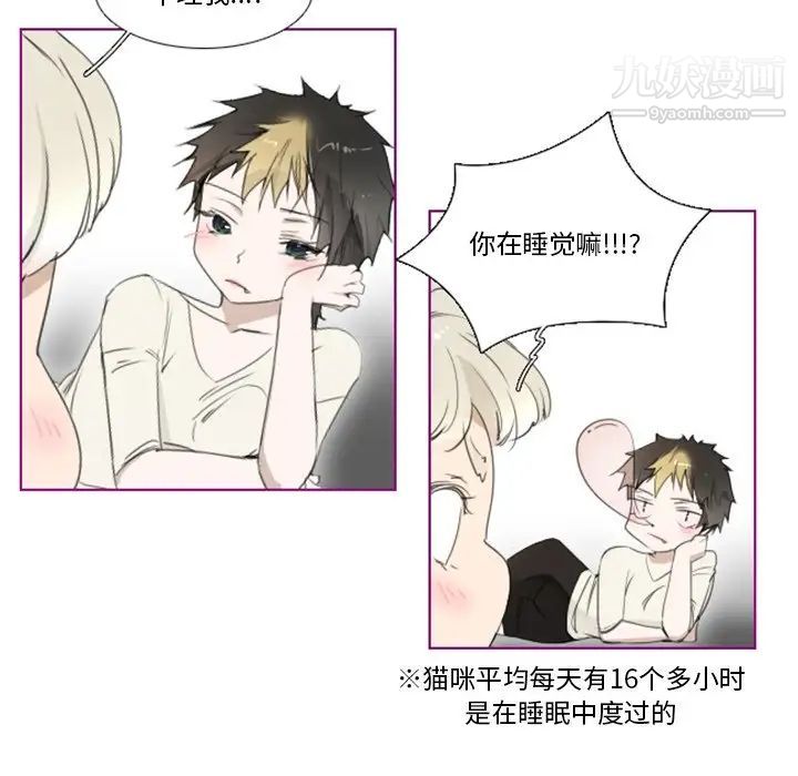 《我的猫狗女友》漫画 第11话