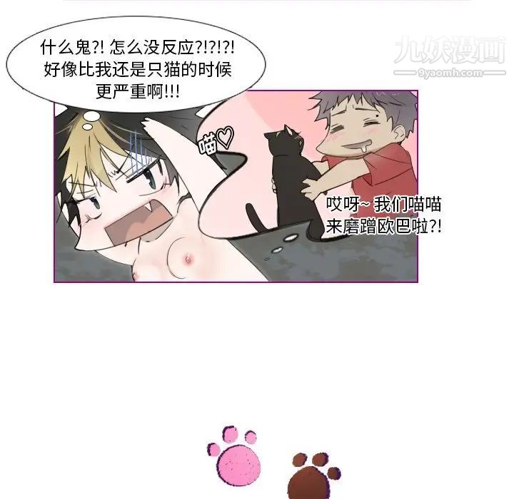 《我的猫狗女友》漫画 第11话