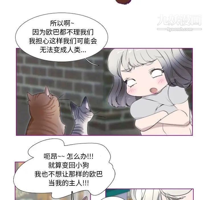 《我的猫狗女友》漫画 第11话
