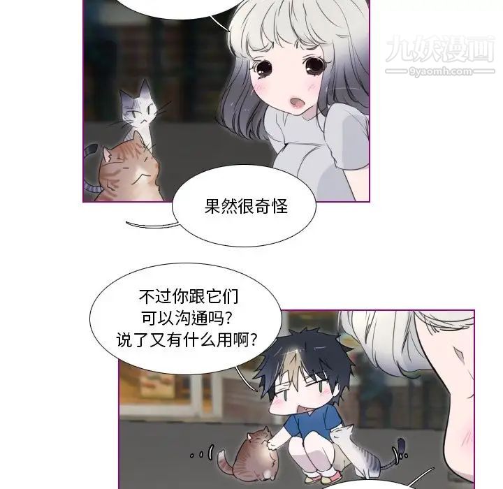 《我的猫狗女友》漫画 第11话