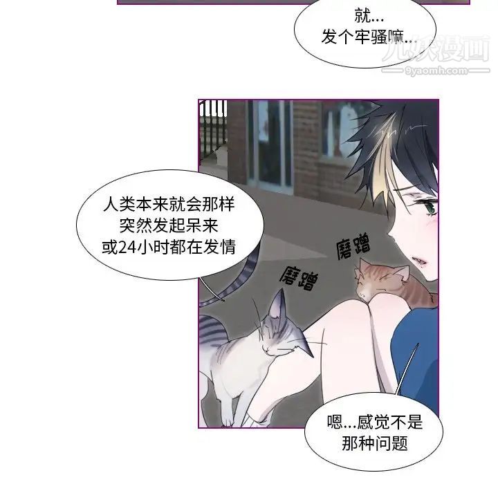 《我的猫狗女友》漫画 第11话
