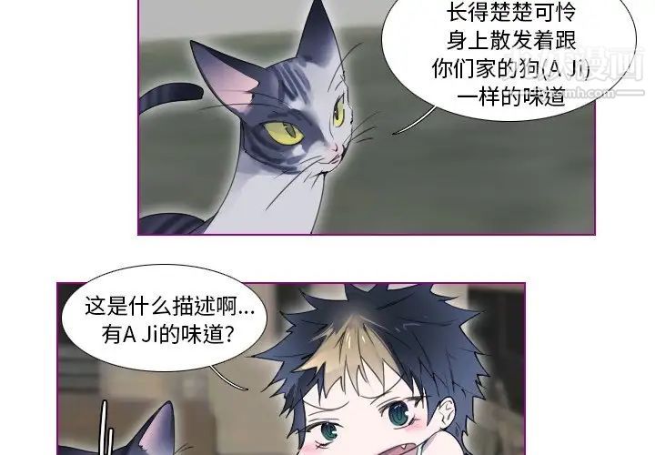 《我的猫狗女友》漫画 第13话