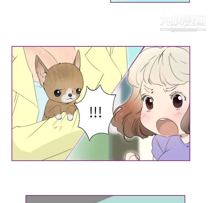 《我的猫狗女友》漫画 第13话