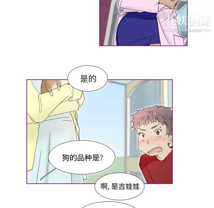 《我的猫狗女友》漫画 第13话