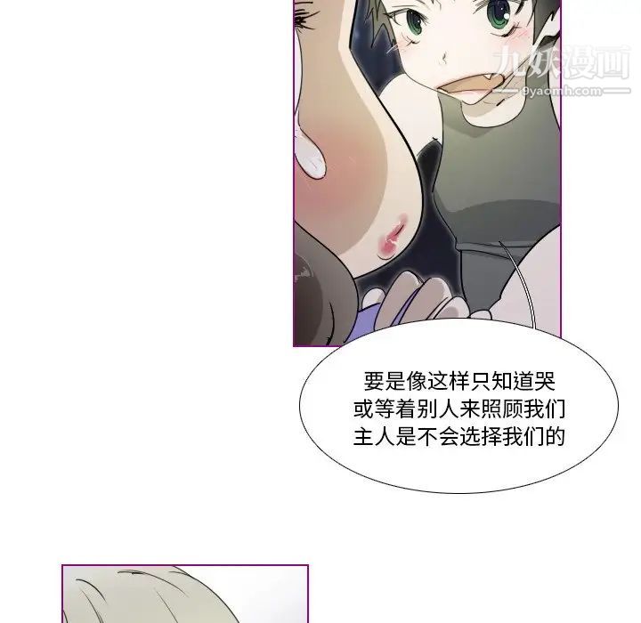 《我的猫狗女友》漫画 第14话
